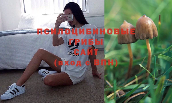 PSILOCYBIN Артём