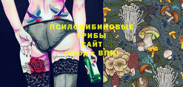 PSILOCYBIN Артём